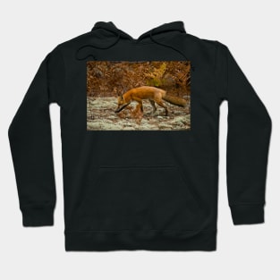 Red Fox Hoodie